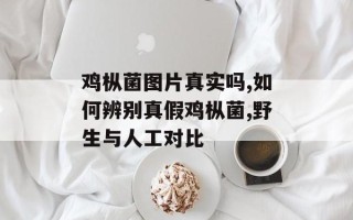 鸡枞菌图片真实吗,如何辨别真假鸡枞菌,野生与人工对比