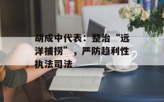 胡成中代表：整治“远洋捕捞”，严防趋利性执法司法