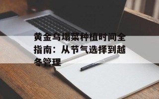 黄金乌塌菜种植时间全指南：从节气选择到越冬管理