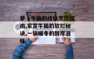 萝卜牛腩的终极烹饪指南,家常牛腩的软烂秘诀,一锅暖冬的醇厚滋味