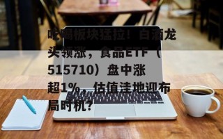 吃喝板块猛拉！白酒龙头领涨，食品ETF（515710）盘中涨超1%，估值洼地迎布局时机？