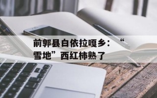 前郭县白依拉嘎乡：“雪地”西红柿熟了