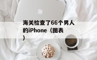 海关检查了66个男人的iPhone（图表）