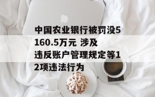 中国农业银行被罚没5160.5万元 涉及违反账户管理规定等12项违法行为