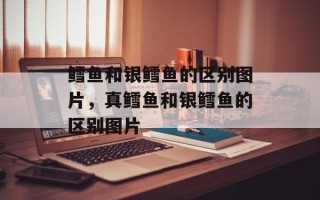鳕鱼和银鳕鱼的区别图片，真鳕鱼和银鳕鱼的区别图片