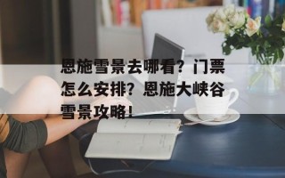 恩施雪景去哪看？门票怎么安排？恩施大峡谷雪景攻略！