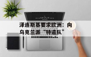 泽连斯基要求欧洲：向乌克兰派“特遣队”