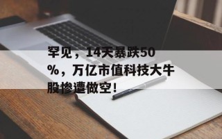 罕见，14天暴跌50%，万亿市值科技大牛股惨遭做空！