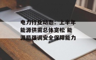 电力行业动态：上半年能源供需总体宽松 能源局强调安全保障能力