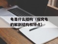 龟是什么结构（探究龟的解剖结构和特点）