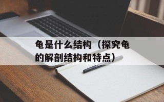 龟是什么结构（探究龟的解剖结构和特点）