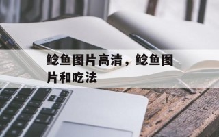 鲶鱼图片高清，鲶鱼图片和吃法