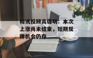 和讯投顾高璐明：本次上涨尚未结束，短期反弹机会仍存