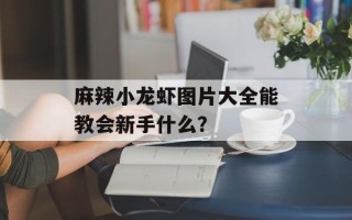 麻辣小龙虾图片大全能教会新手什么？