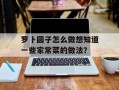 罗卜圆子怎么做想知道一些家常菜的做法？