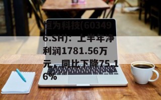 恒为科技(603496.SH)：上半年净利润1781.56万元，同比下降75.16%