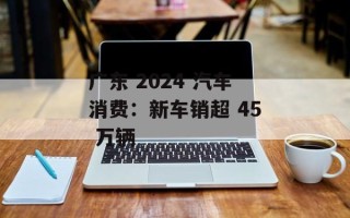 广东 2024 汽车消费：新车销超 45 万辆
