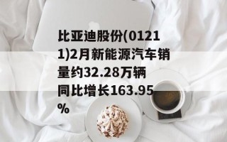 比亚迪股份(01211)2月新能源汽车销量约32.28万辆 同比增长163.95%