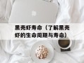黑壳虾寿命（了解黑壳虾的生命周期与寿命）