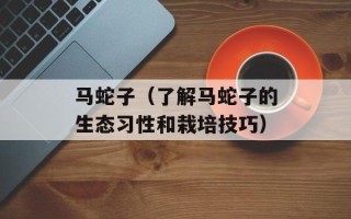 马蛇子（了解马蛇子的生态习性和栽培技巧）