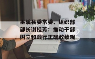 巫溪县委常委、组织部部长谢桂芳：推动干部树立和践行正确政绩观