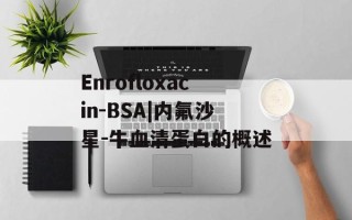 Enrofloxacin-BSA|内氟沙星-牛血清蛋白的概述