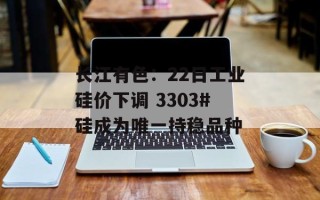 长江有色：22日工业硅价下调 3303#硅成为唯一持稳品种