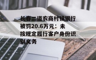 长春二道农商村镇银行被罚20.6万元：未按规定履行客户身份识别义务