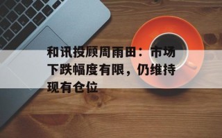 和讯投顾周雨田：市场下跌幅度有限，仍维持现有仓位