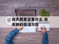 白天鹅象征着什么 白天鹅的生活习性