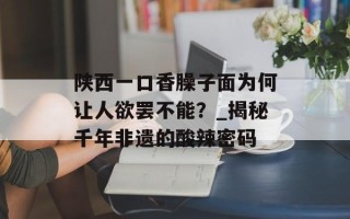 陕西一口香臊子面为何让人欲罢不能？_揭秘千年非遗的酸辣密码