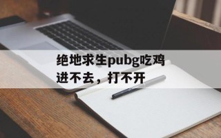 绝地求生pubg吃鸡进不去，打不开