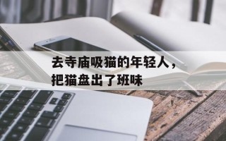 去寺庙吸猫的年轻人，把猫盘出了班味