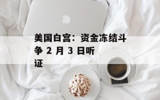 美国白宫：资金冻结斗争 2 月 3 日听证