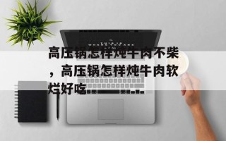 高压锅怎样炖牛肉不柴，高压锅怎样炖牛肉软烂好吃