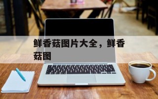 鲜香菇图片大全，鲜香菇图