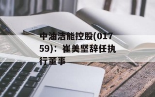 中油洁能控股(01759)：崔美坚辞任执行董事