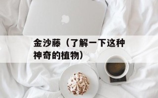 金沙藤（了解一下这种神奇的植物）