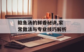 鲶鱼汤的鲜香秘诀,家常做法与专业技巧解析