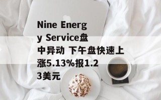 Nine Energy Service盘中异动 下午盘快速上涨5.13%报1.23美元