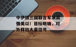 中伊俄三国联合军演震慑美以！目标明确，对外释放大量信号