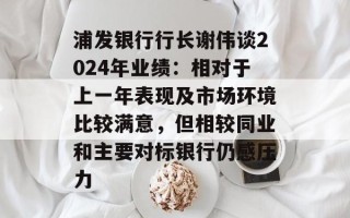浦发银行行长谢伟谈2024年业绩：相对于上一年表现及市场环境比较满意，但相较同业和主要对标银行仍感压力