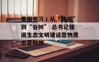 看图学习丨从“焦桐”到“谷树” 总书记强调生态文明建设靠物质也靠精神