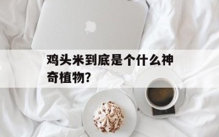 鸡头米到底是个什么神奇植物？