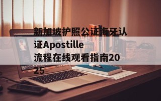 新加坡护照公证海牙认证Apostille流程在线观看指南2025