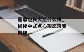 莲蓉包长大后什么样_揭秘中式点心形态演变规律