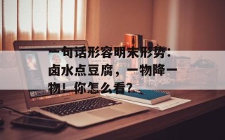 一句话形容明末形势：卤水点豆腐，一物降一物！你怎么看？