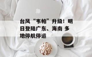 台风“韦帕”升级！明日登陆广东、海南 多地停航停运