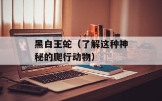 黑白王蛇（了解这种神秘的爬行动物）
