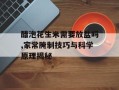 醋泡花生米需要放盐吗,家常腌制技巧与科学原理揭秘